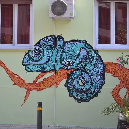 Chameleon Youth Athens