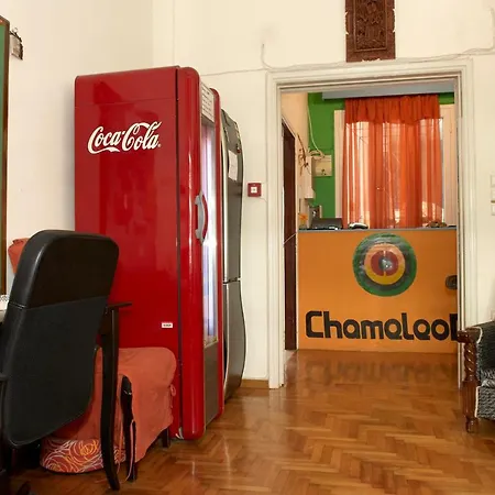 Hostel Chameleon Youth