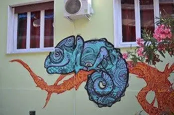 Hostel Chameleon Youth